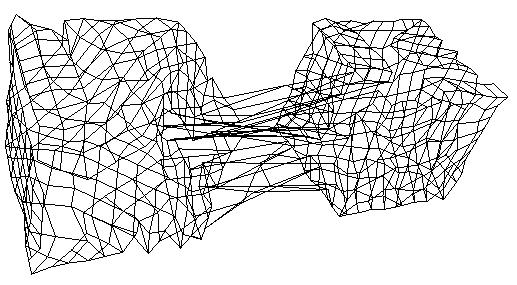 pexample: Building 3D Models by means of Self-Organization (1) Using one 2D lattice.