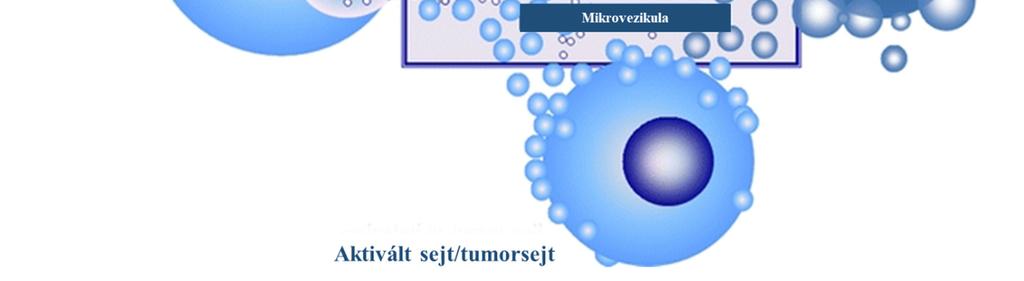 Ez a fajta információcsere evolúciósan konzervált folyamat, ahol a partikulumok az extracelluláris vezikulák (EV), melyek kettős foszfolipid membránba csomagolva bármilyen típusú sejtből képesek az