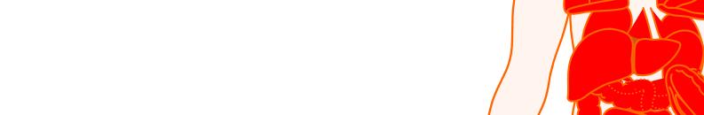Wnt5a Wnt5a és pro-inflammatorikus citokin tartalmú exoszómák felszabadulása Szisztémás gyulladás Pro-inflammatorikus citokinek (IL-6, IL-8) 28.