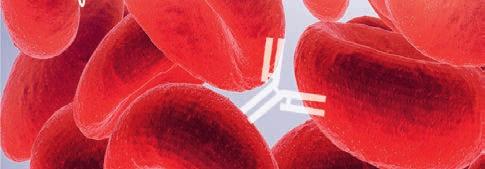 ismerje meg a Bio-Rad