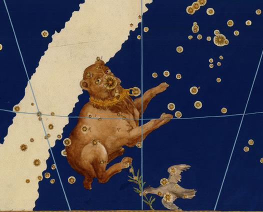 Nagy Kutya Latin: Canis Major, birtokos: Canis