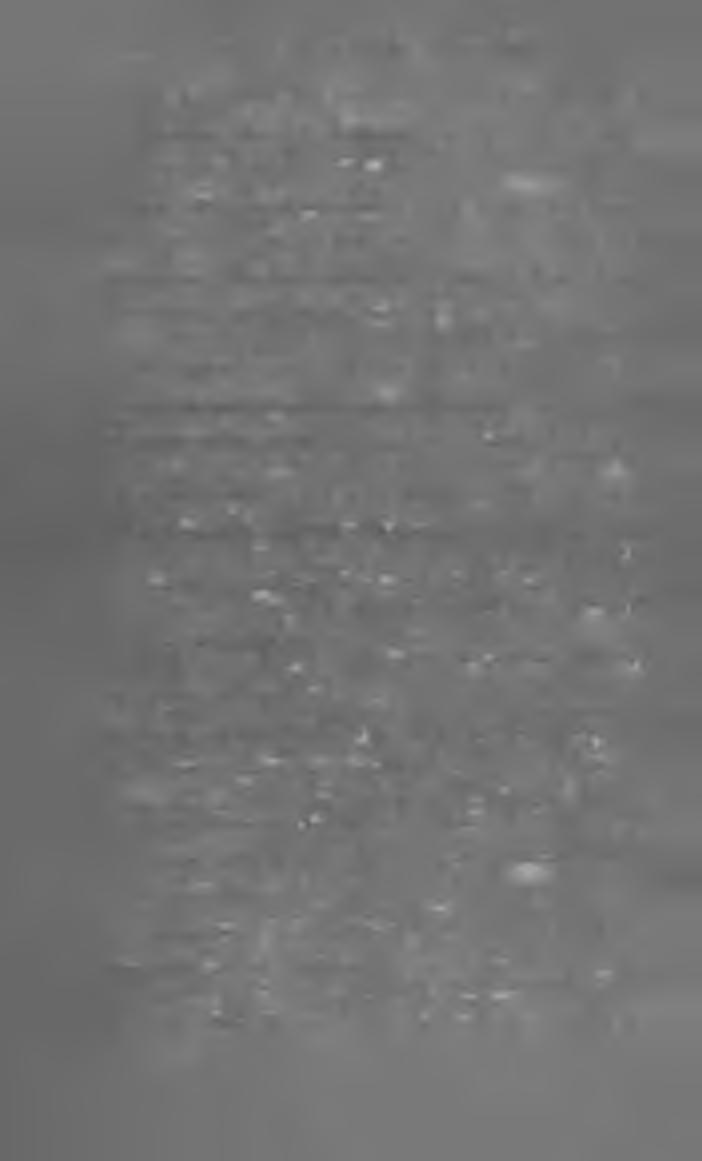 J o o m a g y a r H í r l a p o k á s F o l y ó i r a t o k 1896. E s z te rg o m i K ö z lö n y. Szerk. és kiadótulajdonos Haan Rezső. XVÍII. évf.; ára 4 frt.