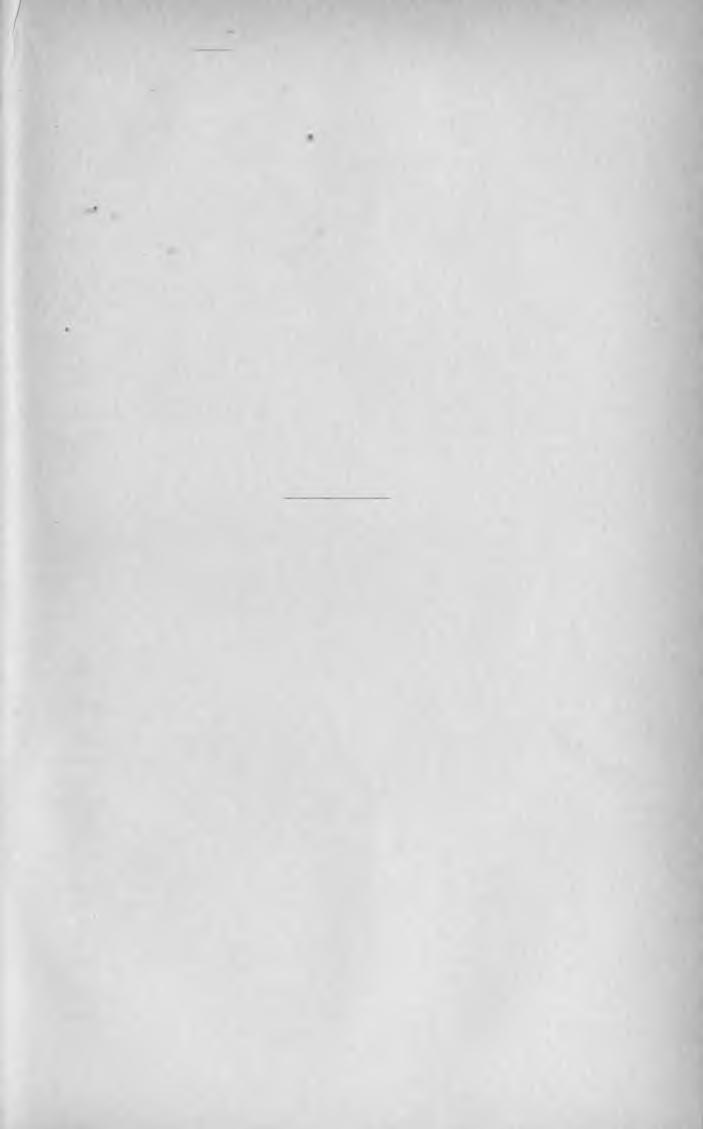 NÉMET HÍRLAPOK ÉS FOLYÓIRATOK 1896. 137 yverschetzer Gebirgsbote, (Versecz.) XLI. évf. Kiadja Kirchner J. E. özv. Megj. hetenkint 2-szer.