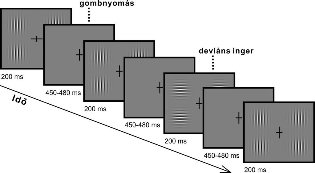 3. ábra A képernyőn 200 ms időtartamra jelentek meg az ingerek. Ezen az ábrán függőleges = standard, vízszintes = deviáns inger elrendezés látható.