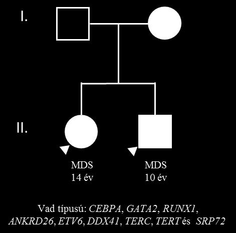 (MDS/AML) jelent meg. Az azonosított családokban elvégeztük a fent részletesen bemutatott, örökletes kórképek hátterében álló gének mutációinak vizsgálatát. Az első általunk vizsgált család (I.