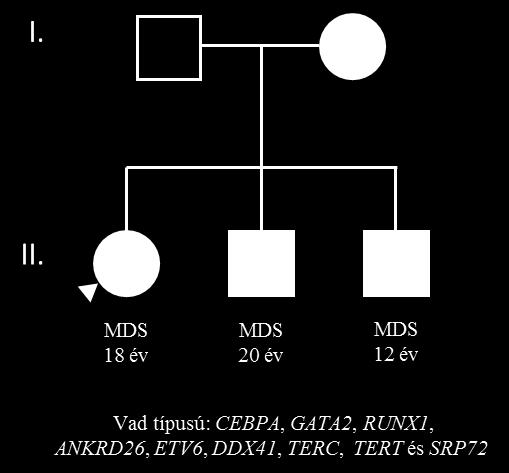 A második vizsgált család (II.) esetében három, MDS-ben szenvedő testvér érintett. Az első gyermeket 18 éves korában páncitopénia, anémia miatt vizsgálták.