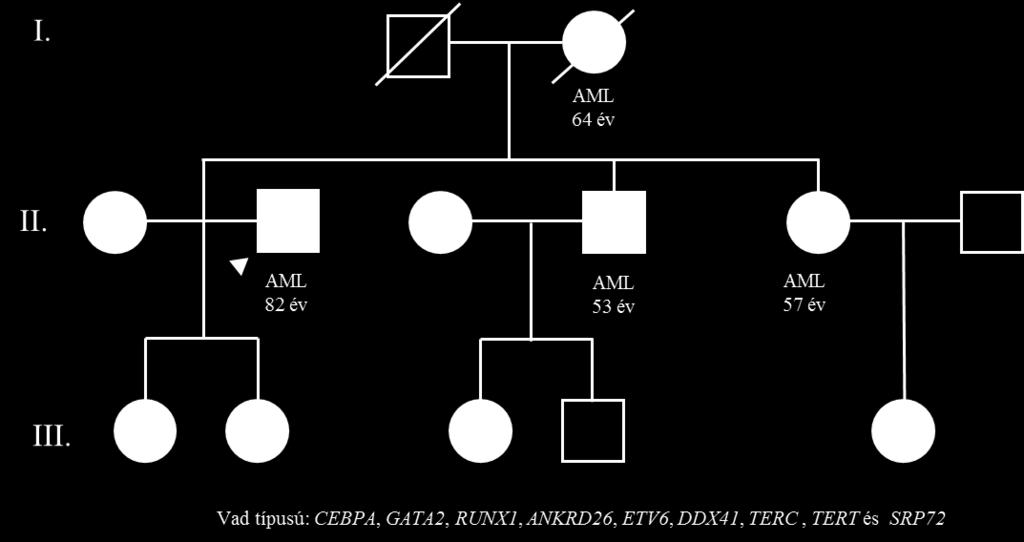 A harmadik általunk vizsgált családban (III.) AML halmozódása volt megfigyelhető több generáción keresztül.