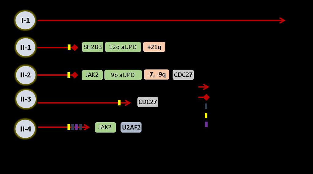 15. ábra: Az ábrán láthatóak RUNX1 csíravonali mutációt hordozó FPD-AML családban a beteg gyermekek esetén megjelenő másodlagos mutációk, melyek a betegség
