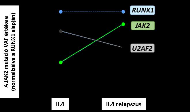A II.4-es gyermek esetében lehetőségünk volt a diagnóziskori és a relapszuskori mintából kapott VAF adatok összevetésére, mely alapján látható volt, hogy a diagnóziskor kis százalékban jelen lévő
