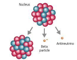 ) szín Nukleonok (és más hadronok) Magfúzió a csillagokban Gyenge izospin Neutron bomlás n p + e e