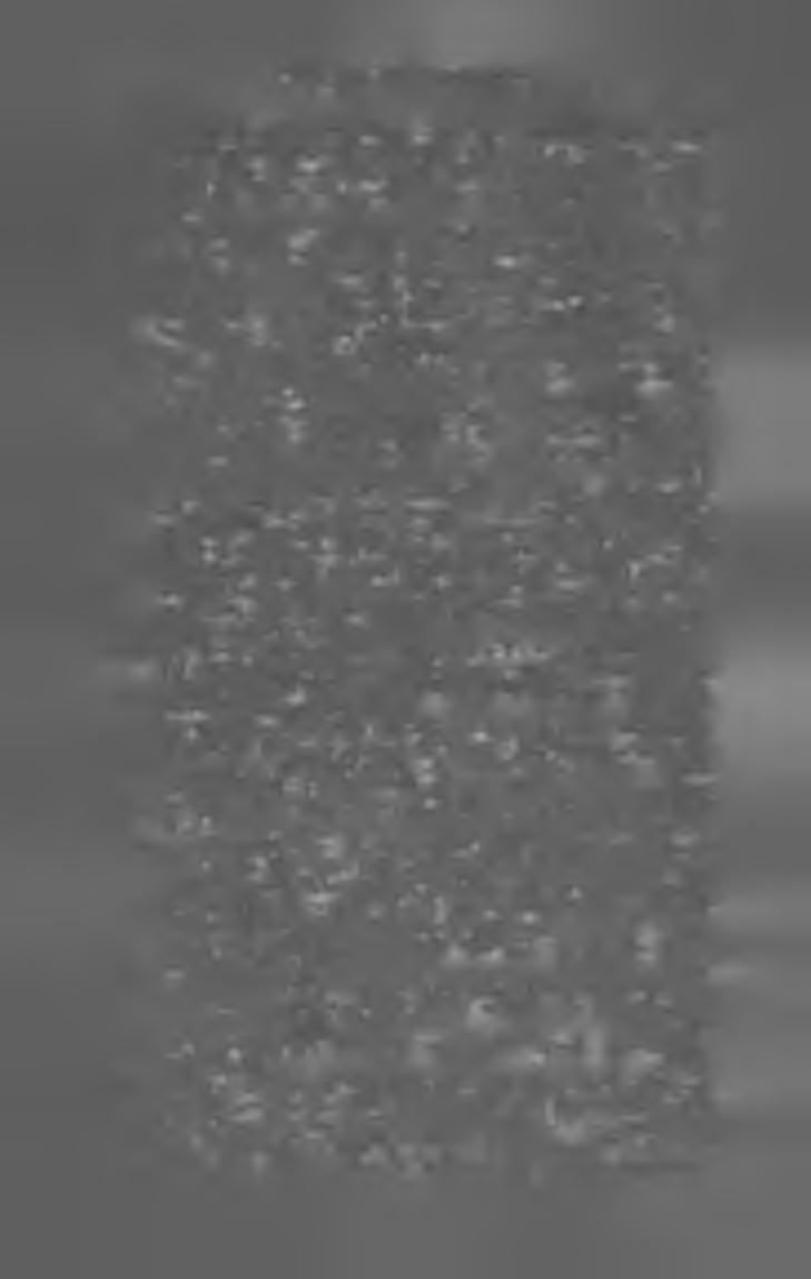 100 M A G Y A R K Ö N Y V JE G Y Z É K I 9 O 5. Tibulli Albii Carmina. Accedunt sulpiciale elegidia. Edidit, adnotationibus exegeticis et criticis instruxit Némethy Geyza. (6-r. 346 1.) Bpest, 1905.