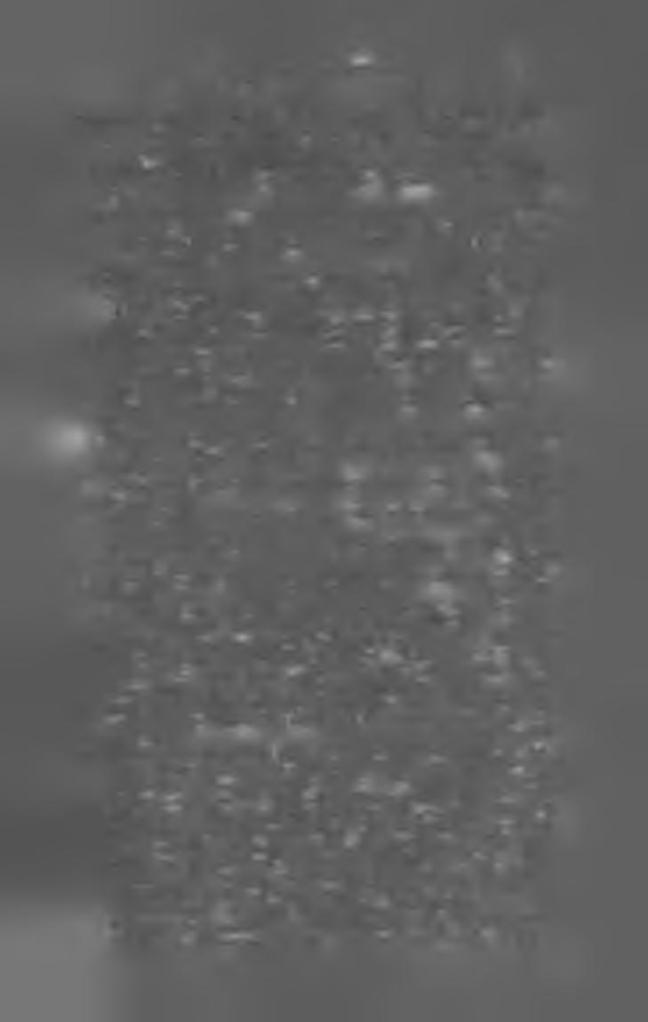 M A G Y A R K Ö N Y V JE G Y Z É K I 9 0 5. I 3 ürsziny Gyula dr. Mik az okai a mai nap oly gyakori légutak hurutjának és mit lehetne ellene tenni. Ld. Klinikai füzetek X V. 9..,,. ürsziny Gyula dr. és Homor Lajos.