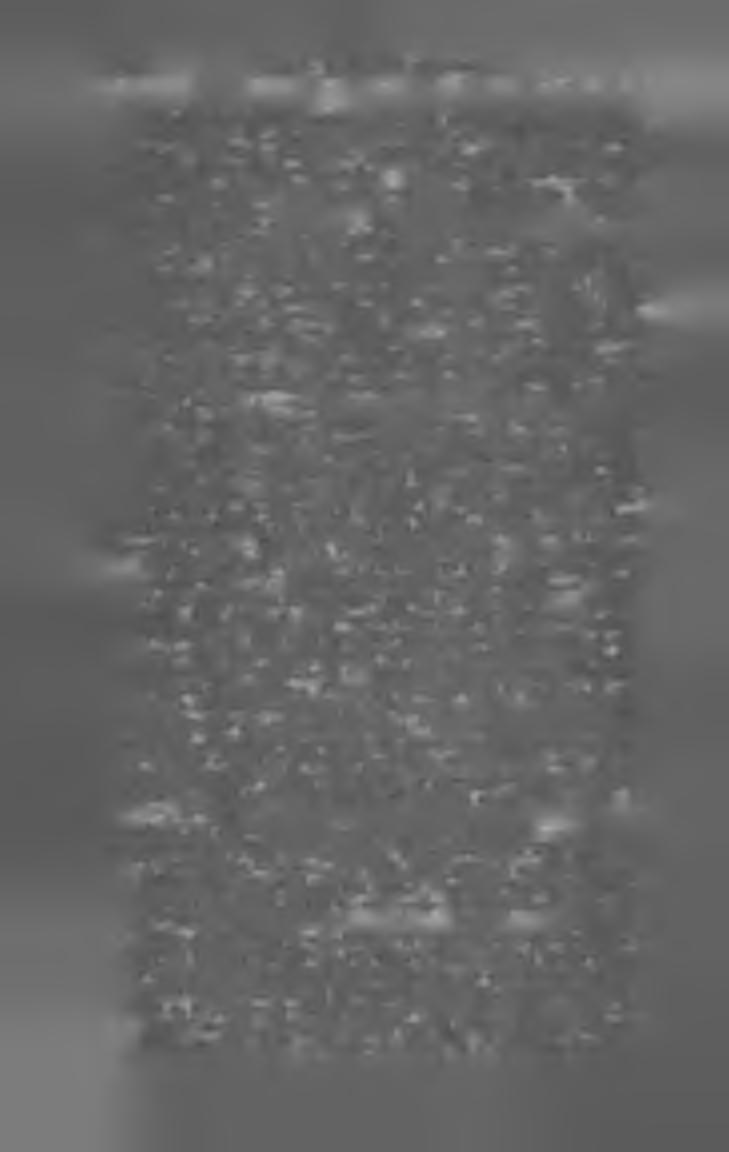 104 M A G Y A R K Ö N Y V JE G Y Z É K I 9 0 5. továbbá magánhasználatra vezérkönyvül, magyarázatokkal ellátva, módszertanilag rendezte és kiadta V. P. Magyar és német írás. (8-r. 34 l.j Bpest, 1905.