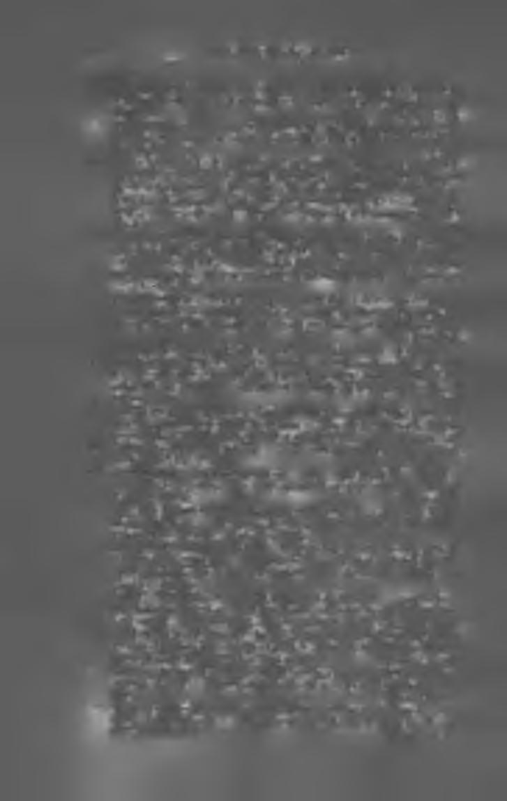 12 M A G Y A R K Ö N Y V JE G Y Z É K 1 9 0 5. B. Büttner Lina. A mit a csillagok látnak. Elbeszélés az ifjúság számára. (K. 8-r. 200 1.) Bpest, 1905. Szent-István-Társulat. Kötve _ 1 kor. 40 fill.