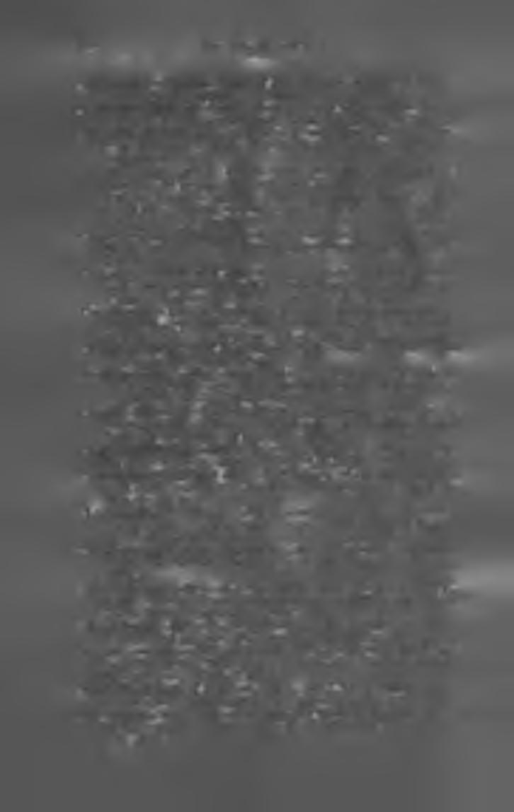 .i t a g y a r T e n g e r p a r t. (Fiume.) Szerk. és kiadó-tul. Hegyi Jenő. Nyomt. az Unió ny. X II. évf. ; ára 24 kor. M is k o lc z i N a p ló. (Miskolcz.) Szerk. dr.