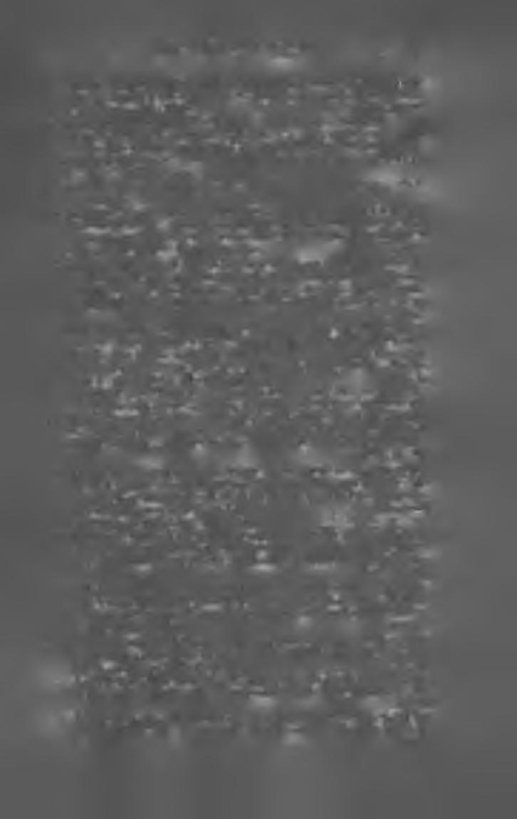 M A G Y A R K Ö N Y Y JE G Y Z É K 1 9 0 4. 13 Cooper Fenimore. Vadfogó. Képekkel. Angol eredetije nyomán az ifjúság számára átdolgozta Mikes Lajos. (8-r. 149 1.) Bpest, 1905. U. o.