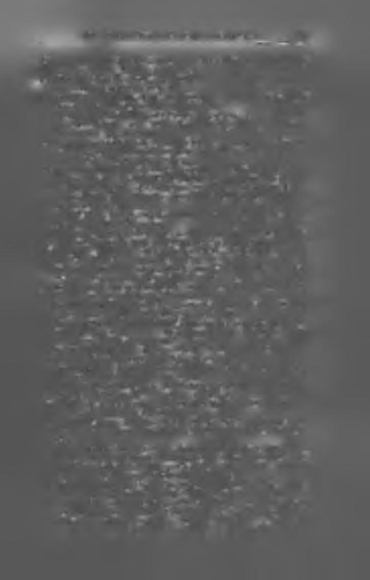 VIII. VIDÉKI LAPOK, NEM POL1T. TARTALOMMAL. 155 E p e r je s i L a p o k. (Eperjes.) Szerk. dr. Mikfer Károly. X X IX. évf. Nyomt. Kósch Árpád; ára 10 kor. E r d ő v id é k. (Baróth.) Szerk. dr. Ferenczy Géza.