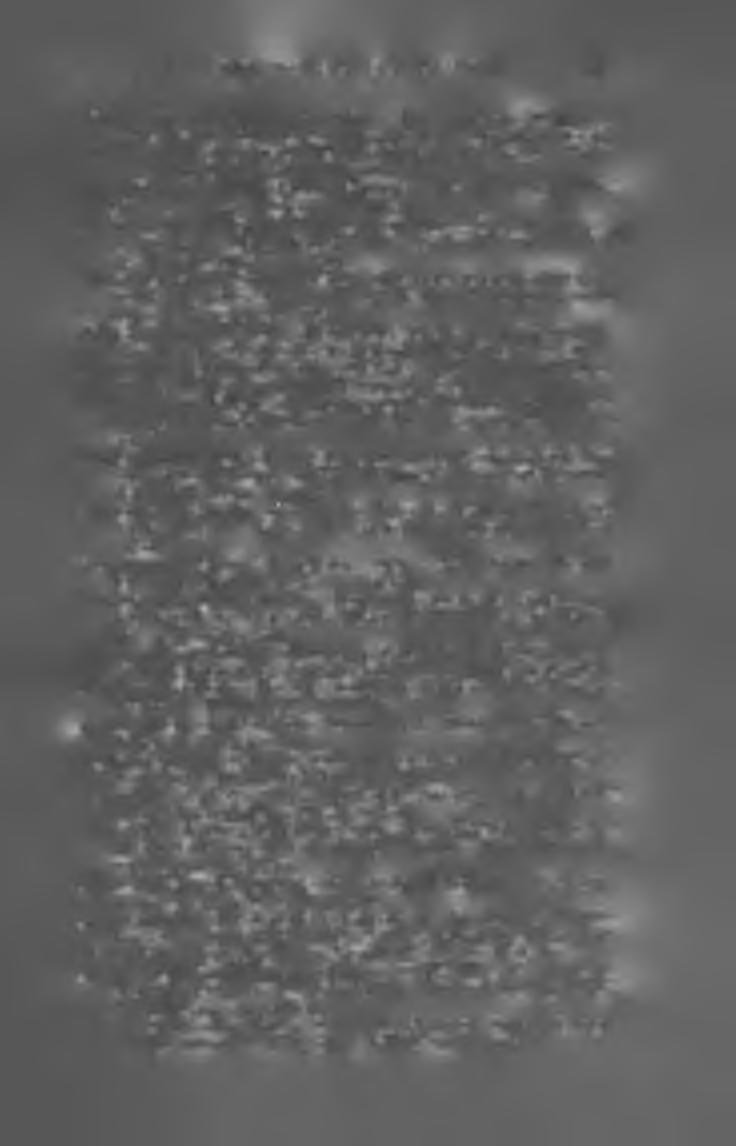 VIII. VIDÉKI LAPOK, NEM POLIT. TARTALOMMÁ^. 157 K is k u n - H a la s H e ly i É r t e s ít ő je. (Kiskun-Halas.) Szerk. és kiadó Práger Ferencz nyomdász. IV. évf. ; ára 2 kor. 80 fill.