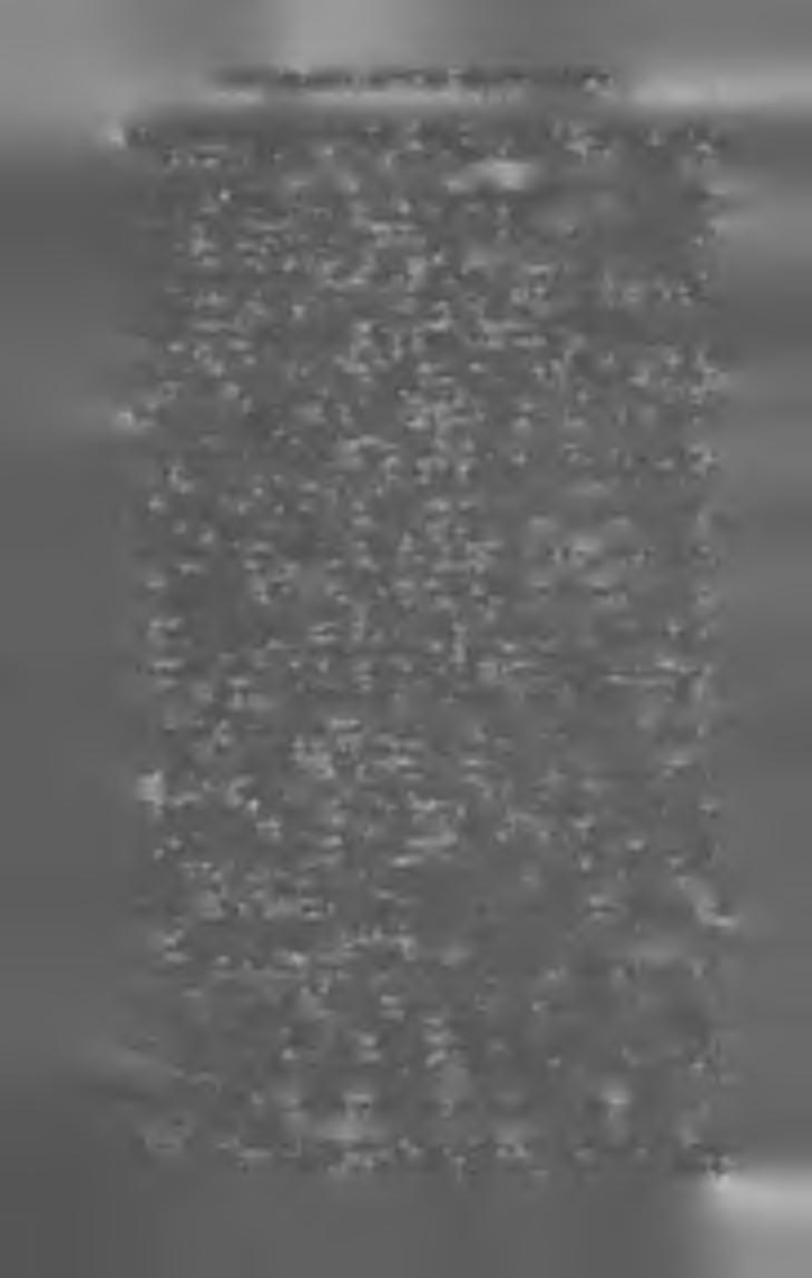 VIII. VIDÉKI LAPOK, NEM POLIT. TARTALOMMAL. J íu n - S z t.-m á r t o n és Y id é k e. (Kun-Szentmárton.) Szerk. Csanády Jó zsef; kiadó-tul. özv. Csanády Józsefné nyomdász. V III. évf. ; ára 8 kor.