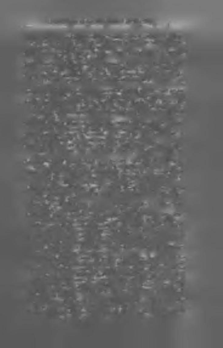 VIII. VIDÉKI LAPOK, NEM POLIT. TARTALOMMAL. M u r a s z o m b a t és Y id é k e. (Muraszombaté Szerk. Sinkovits Elek kiadó a vendvidéki magyar közművelődési egyesület. Nyomt. Hirschl N. X X. évf.