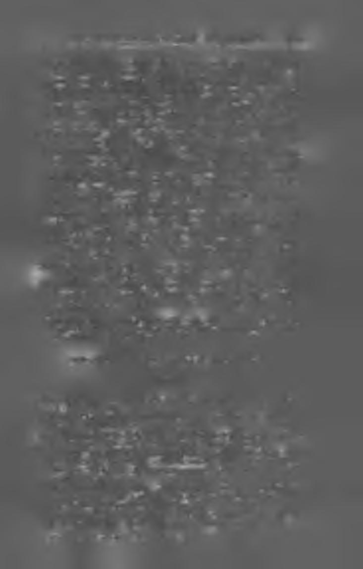 Teutsch Gyula; kiadó ny. Drotleff József. X X X I. évf. Napilap ; ára 24 K. S la ris c h e s JEcho. (Wien.) Szerk. túl. Podgornits Frigyes. Ny. (Pozsony.) Alkalay Adolf és Fia. IV. évf. Félhavi; ára 8 kor.