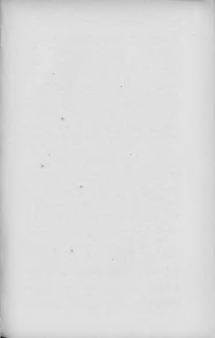 XII. A HAZAI NEM-MAGYAR NYELVŰ HÍRLAPIRODALOM. 197 A u r a n s e b e s e r TVochenblatt. (Karánsebes.) Szerk. túl. Jacobovits József. Ny. (Lúgos) Weisz és Sziklai. XV II. évf. Hetilap ; ára 8 kor.