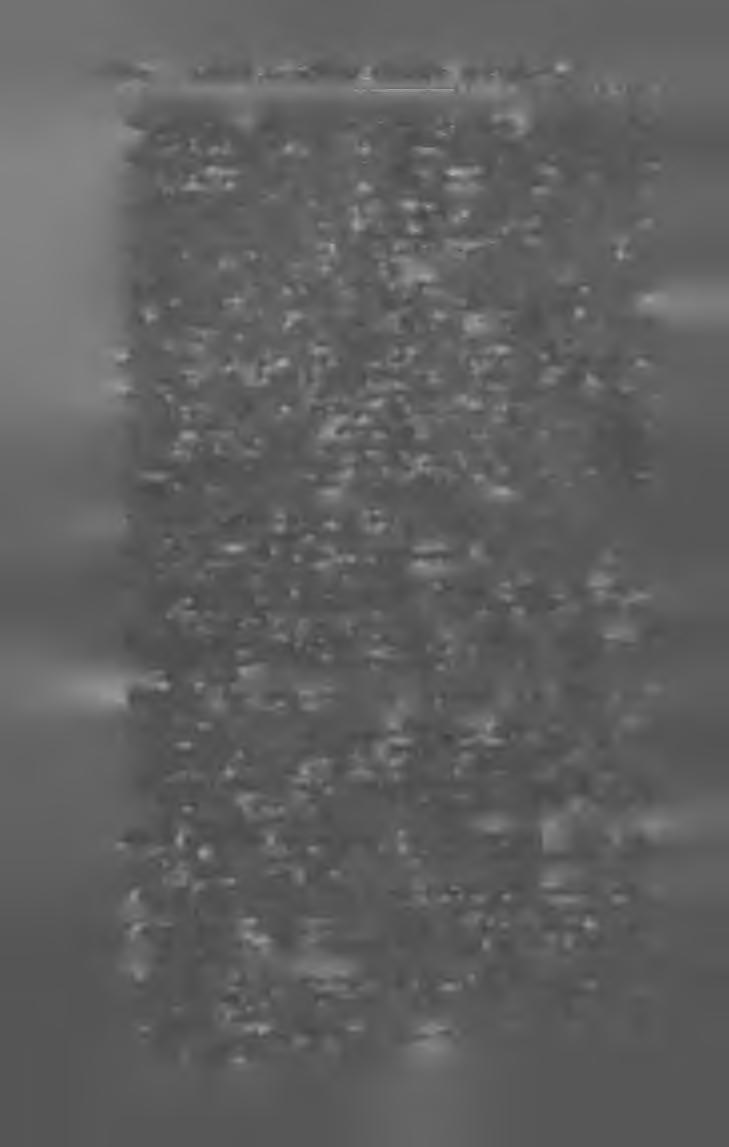 O r a v ic z a e r W ochenblatt. (U. ott.) Fel. szerk. és túl. Ny. Wunder Károly. X X X III. évf. H etilap; ára 9 kor. 20 fill. O r a v ic z a e r Z e it u n g. (Oravicza.) Fel. szerk. túl. Weisz Félix.