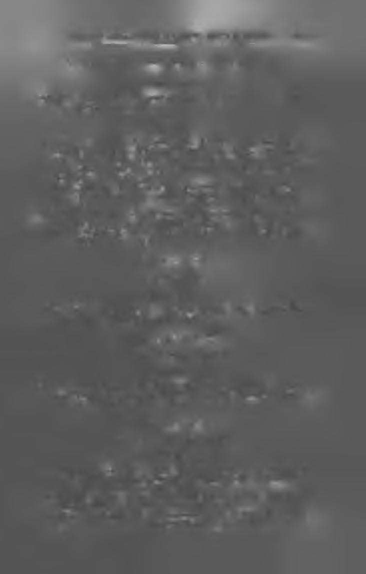 Félhavi la p ; ára 4 kor. l í r á j á n. (Beszterczebánya.) Szerk. dr. Rippely Ede. Ny. Machold F. I. évf. H e ti; ára 2 kor. L u d o v é JV o v in y. (Turócz-Sz.-Márton.) Szerk. kiadó Bielek Antal.