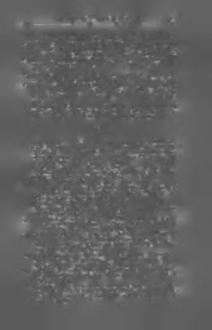 Szerk. és kiadja Schneider Siegfried. Nyom, Spatz Henrik. IV. éfv. Megjelenik havonként ; ára 6 kor. U n g a r is c h e p a d a g o g is c h e I t e v u e Szerk. Szőllősy Jenő. Nyom. Schlesinger Vilmos.