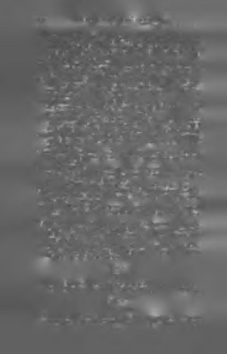R o r r e s p o n d e n z b t a t t d e s V erein s f ü r s ie b e n b ü r g is c h e Z a -n d esk u n d e. (N.-Szeben.) Szerk. dr. Schullerus A.' Ny. Krafft Vilmos. X X V II. évf.