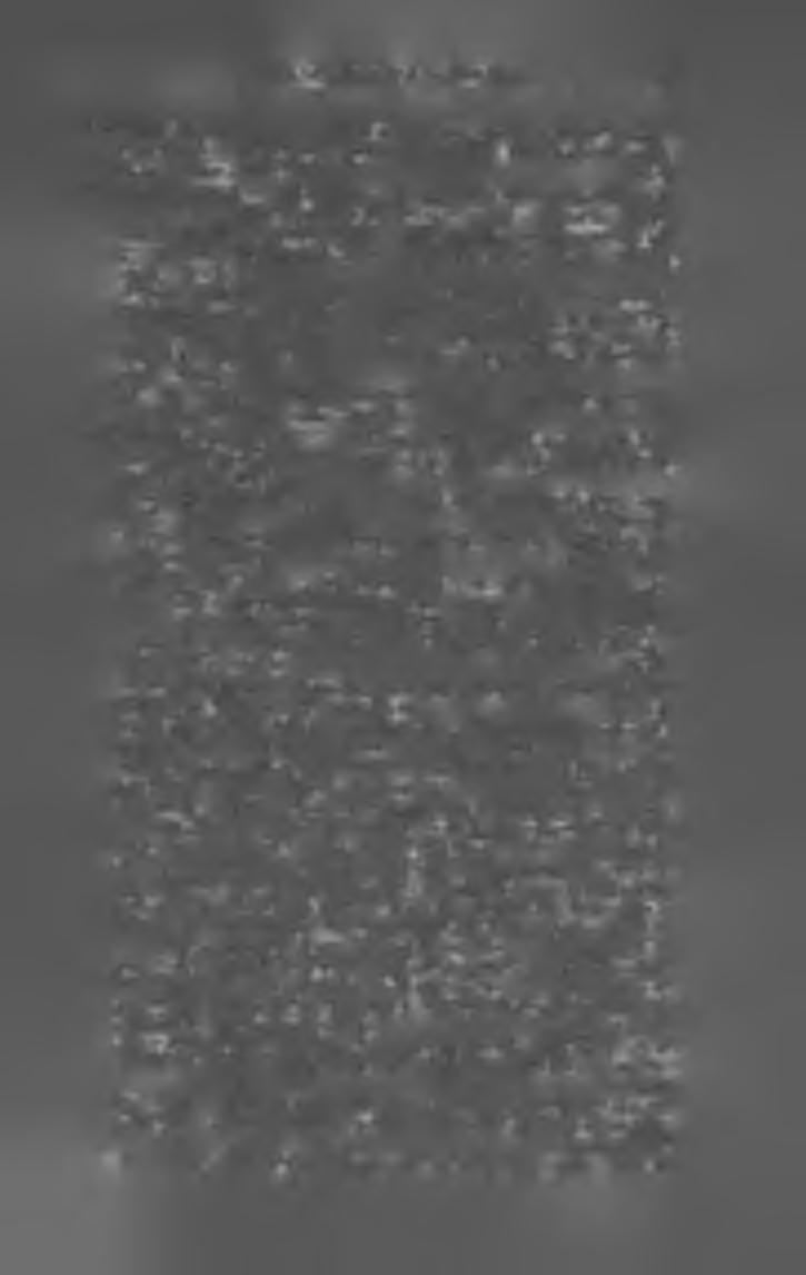 M A G Y A R K Ö N Y V JE G Y Z É K I 9 0 5. 2 7 Füredy Lajos. A len mint fonalos növény, annak termelése, kikészítése és értékesítése gyakorlati gazdák számára. (8-r. 82 1.) Kassa, 1905.