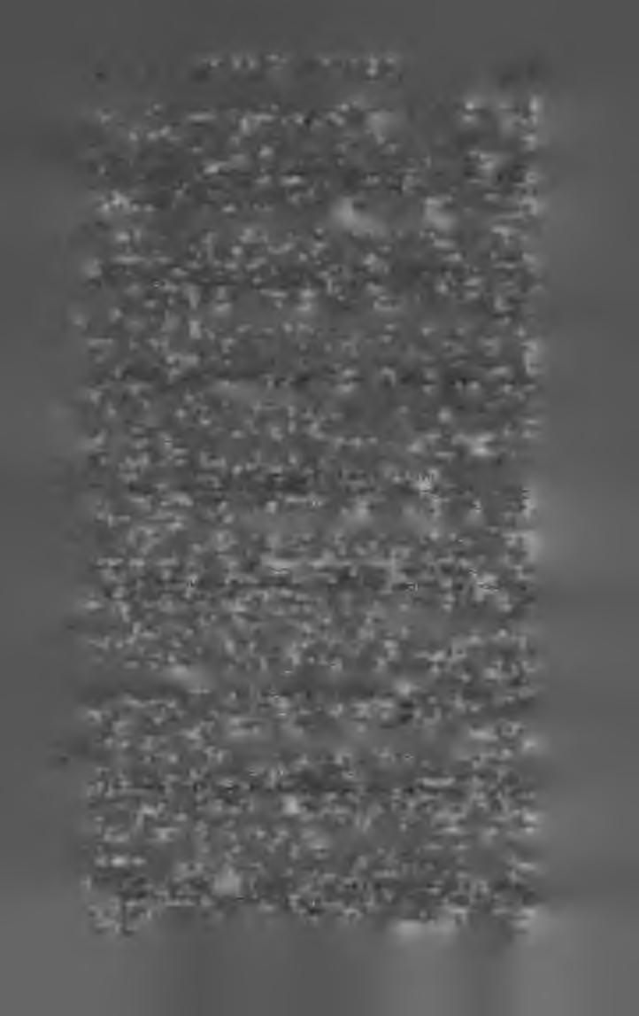 In deutscher Bearbeitung von Emerich Sehultz. 4-te. verhesserte Auflage. (8-r. 221 1.) Bpest, 1006. Lampel R. r.-t. Kötve. 96 fill. György Aladár. A föld és népei.