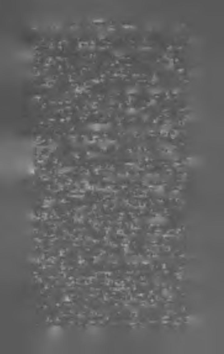 M A G Y A R K Ö N Y V JE G Y Z É K I 9 0 5. 37 Imre József. Kis szavaló. Szavalásra alkalmas költemények gyűjteménye. (K. 8-r. 86 1.) Hajdúböszörmény, 1904.