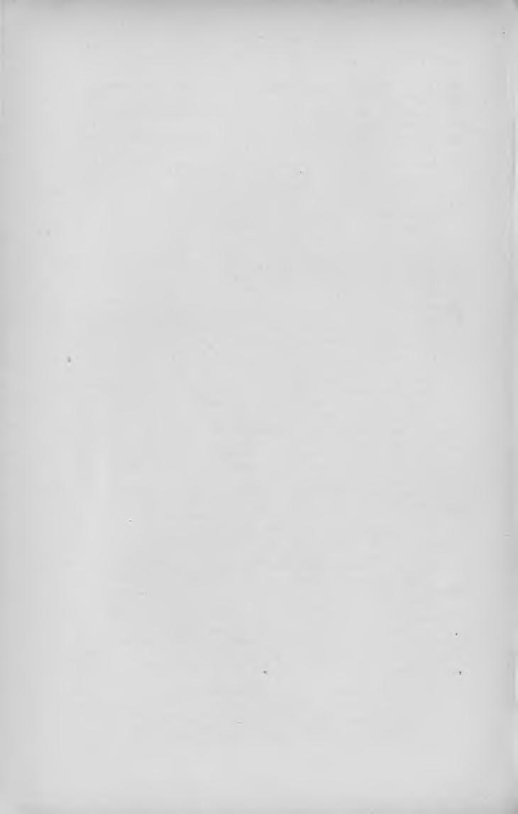 46 M A G Y A R K Ö N Y V JE G Y Z É K I 9 0 5. (8-r. 69 1.) Bpesl, 1905. Müller Károly könyvnyomdája. U o. 1 kor. 50 fill. Kozma Dénes.
