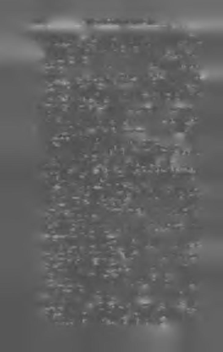 48 M A G Y A R K Ö N Y V JE G Y Z E K 1 9 0 5. Könyvtár, filléres, 214. kötet. Krúdy Gyula. Előre. Hazafias elbeszélések. (48 1.) 217. szám. Dingha Béla. Kókumfitty király országa és egyéb történetek.