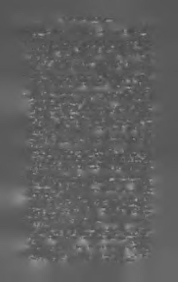 M A G Y A R K Ö N Y V JE G Y Z É K I 9 0 5. 5 Balassa Lajos. Hajnali mise. Regény. (8.-r. 102 1.) Bpest, 1905. Pallas r.-t. biz. 2 kor. Balits Antal dr. Jézus Kristus isteni megváltónk élete.