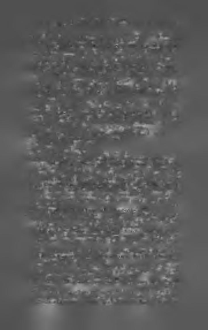 üzletvitel, gyümölcsészet, haltenyésztés, kártételek, kertészet, méhészet, mellékhaszonvételek, mezőgazd.