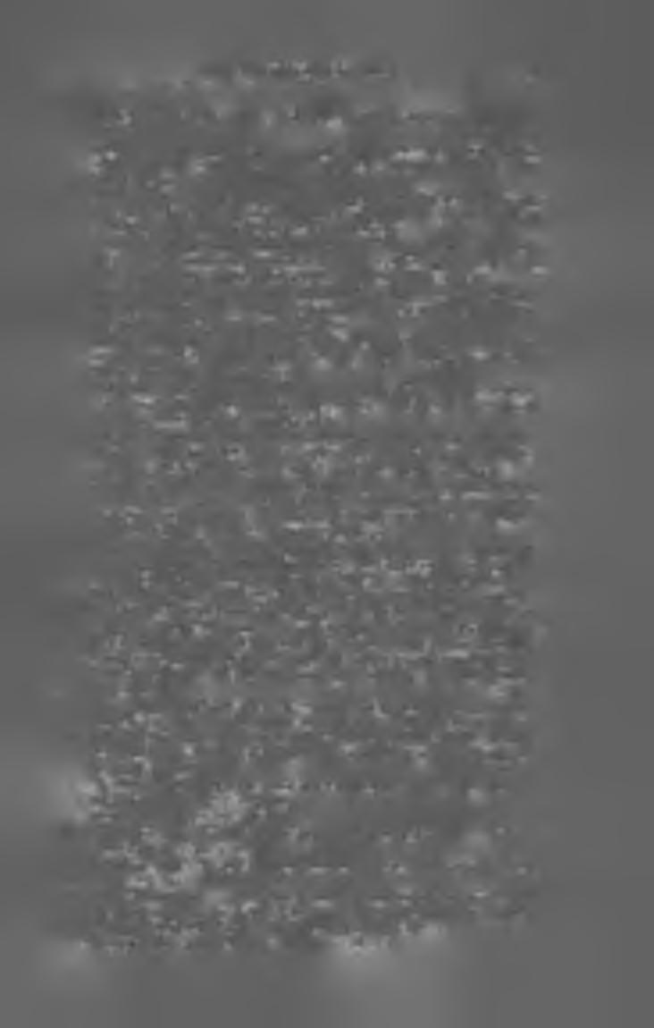M A G Y A R K Ö N Y V JE G Y Z É K I 9 0 5. 57 r. társ. Egy-egy kötet előfizetési ára kötve- 16 kor. bolti ára _ 20 kor. Abauj-Torna vármegye és K assa. Jókai Mór előszavával. (58 1-.