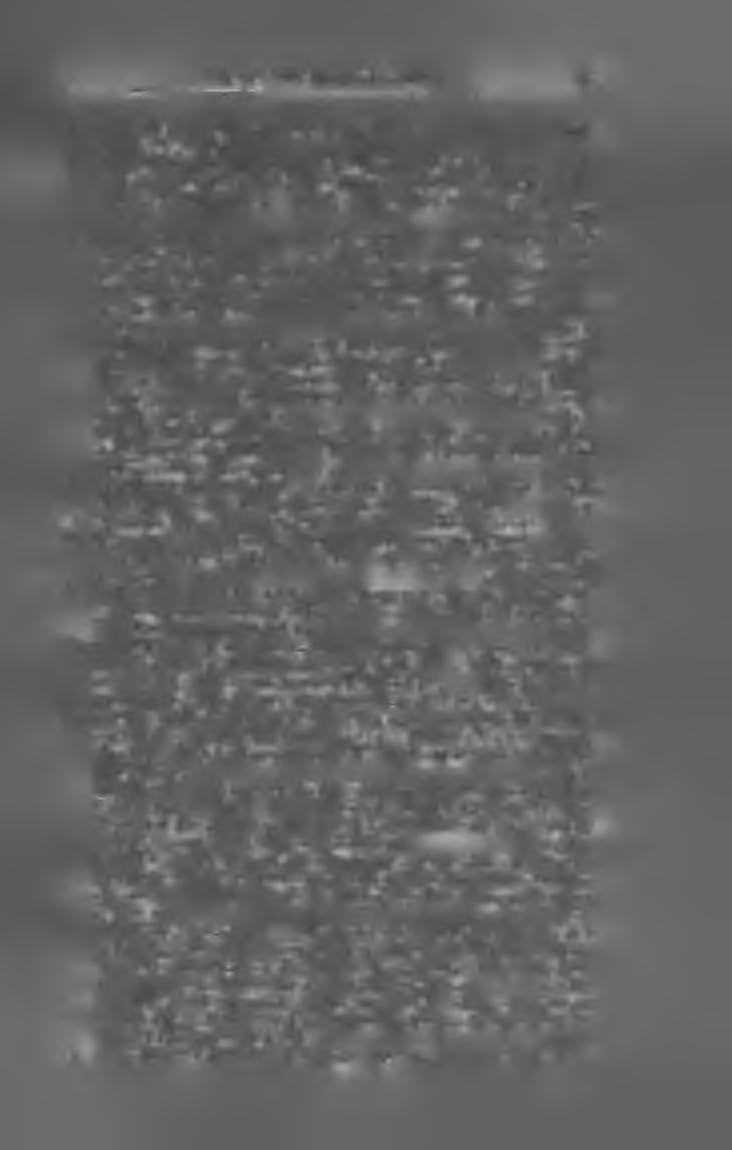 M A G Y A R K Ö N Y V JE G Y Z É K I 9 O 5. 59 Mál tonfy Márton. Módszeres magyar nyelvtan mondattani alapon. Ld. : Weszely Ödön. Mártonfy Márton és T rá jtler Károly.