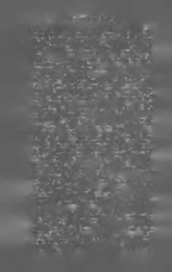 6 M A G Y A R K Ö N Y V JE G Y Z É K 1 9 0 5. Bandi Endre Biblia ünnep az angol biblia terjesztő társulat fennállásának századik évfordulóján. (N. 8-r. 20 1.) Léva 1904. Kókai Lajos bizom.