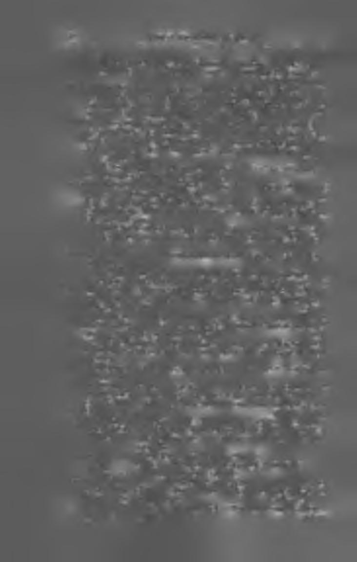 ó o M A G Y A R K Ö N Y V JE G Y Z É K I 9 0 5. rövid áttekintése. II. Az evolutió bizonyítása. III. Az ember a származástan világításában. (8-r. 50 I.) Bpest, 1905. U. o... 1 kor. 20 fill.