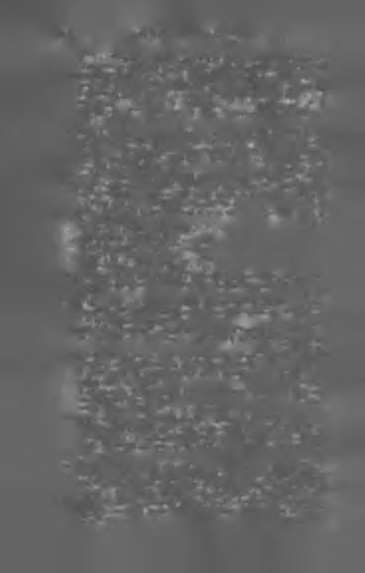 64 M A G Y A R K Ö N Y V JE G Y Z É K I 9 O 5. Lmhossék Mihály. 470 szövegképpel és 39 műmelléklettel. (Lex. 8-r. 781 1.) Bpest, 1905. U. o. Félbőrkötésben 24 kor. Művészetek története, A.
