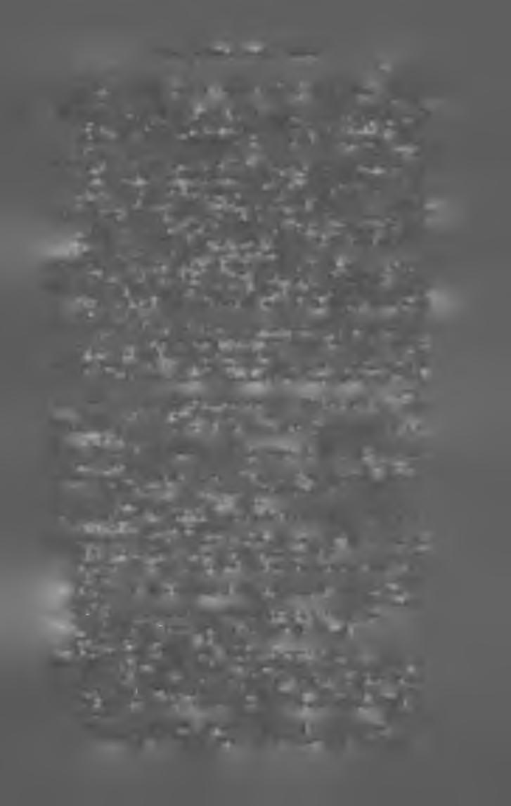 M A G Y A R K Ö N Y V JE G Y Z K K I 9 0 5. 7 kettedik kiadás. (S-r. I V III és 188 1.) Bpest, 1906. Lampel R r:-t. 2 kor. Batizfalvy István. Bibliaismertetés.