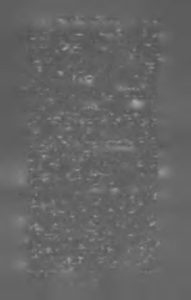 M A G Y A R K Ö N Y V JE G Y Z É K I 9 0 5. 97 Tarczali Dezső. Névtelen könyv. Elbeszélések. (K 8-r. 127 1.) Bpest, 1905. Lampel R. r.-t. Szórt, bizom. 2 kor! Tarján Nándor dr.