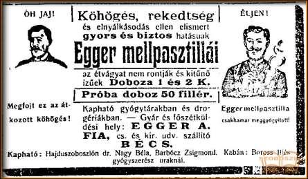 A patikát Barbócz Zsigmondtól még halála előtt, 1938-ban 72.000 pengőért Wallon Lajos vette meg. Wallon Lajos 1901-ben született Szatmárnémetiben.