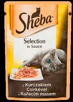 Auchan Bébé programba áruházunk Vevőszolgálatán és élj az