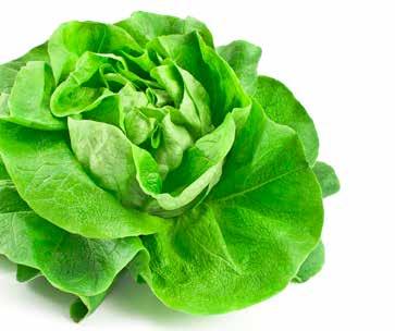 g, 662 /kg 199 AUCHAN