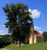 A pásztor elmondta a faluban, hogy megtalálta a régi templomot. Aki csak tehette, másnap azon dolgozott, hogy megtisztítsa a templomot és környékét.