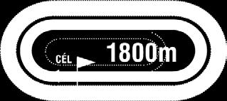 2019.07.21 I FUTAM 15:00 (122) Pálya: 11 - Kincsem Park A futam neve: TÍZEK TÁRSASÁGA HENDIKEP (IV.o.) Összdíjazás: 540000 Ft (270000, 108000, 81000, 54000, 27000) 1 Midnight Love (IRE) 65.0 ifj.