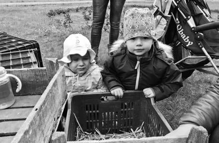 4. oldal (folytatás az előzõ oldalról) Kiemelte a tanárok és tanulók munkáját és a jó kapcsolatot tankerület, iskola és önkormányzat között.